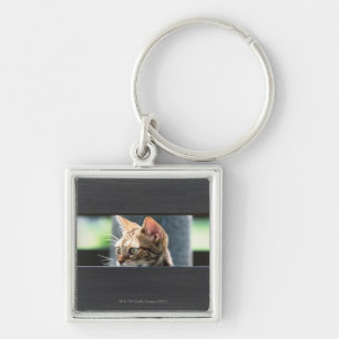 Ocicat 4 key ring