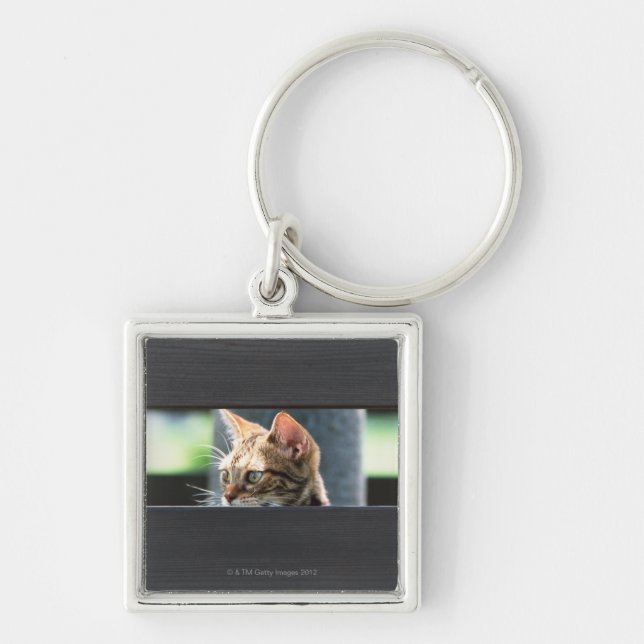 Ocicat 4 key ring (Front)
