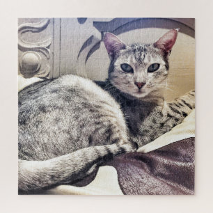 Ocicat Beautiful Cat or your Photo Square Jigsaw Puzzle