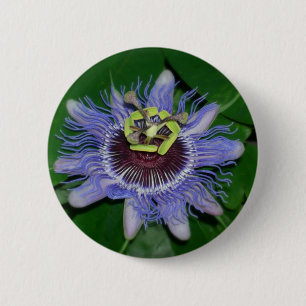 Ocoee flower Passiflora caerulea Passion flower 6 Cm Round Badge