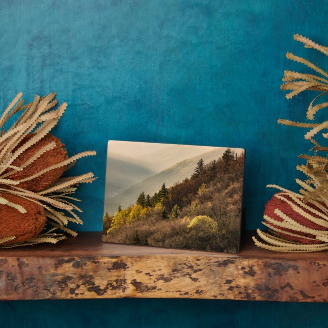 Oconaluftee Valley Overlook | North Carolina Plaque (Side)