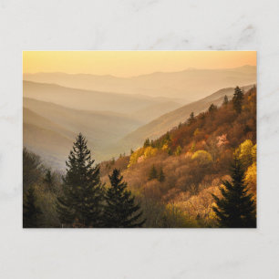 Oconaluftee Valley Overlook North Carolina Postcard