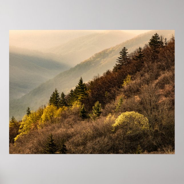 Oconaluftee Valley Overlook | North Carolina Poster (Front)