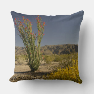 Ocotillo and desert senna cushion