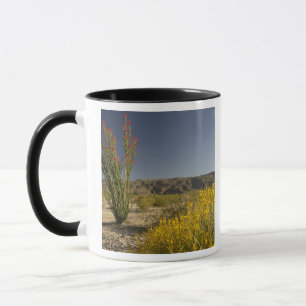Ocotillo and desert senna mug