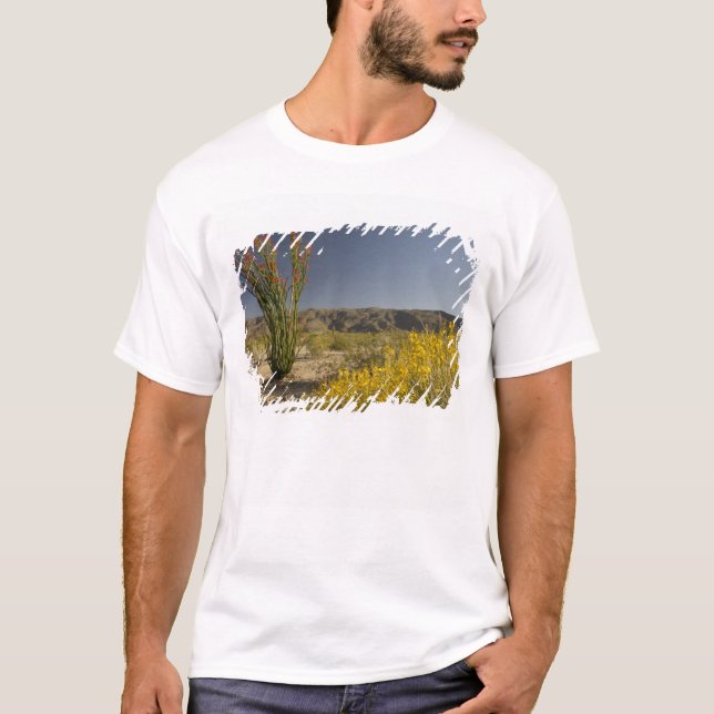 Ocotillo and desert senna T-Shirt (Front)