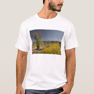 Ocotillo and desert senna T-Shirt