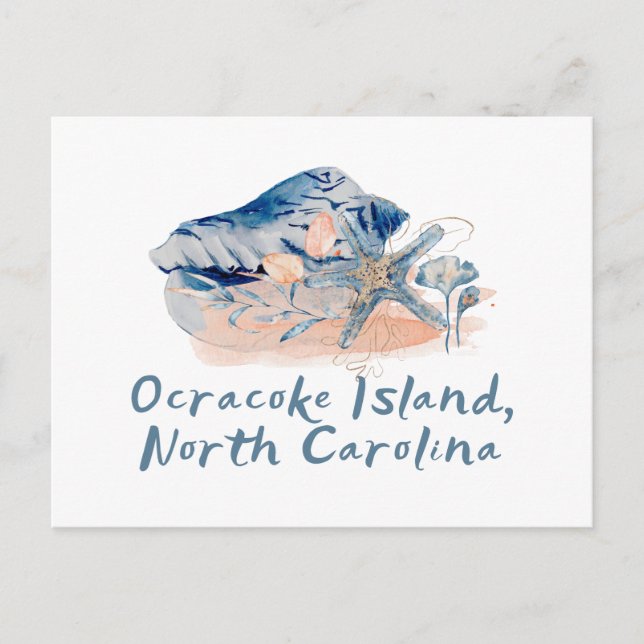 Ocracoke Island Seashells  Postcard (Front)