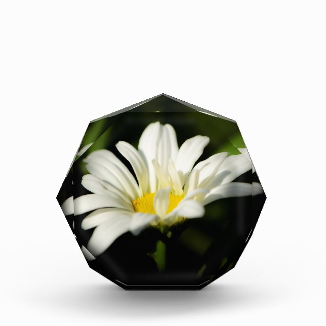 Octagonal Photo Block Template (Front)