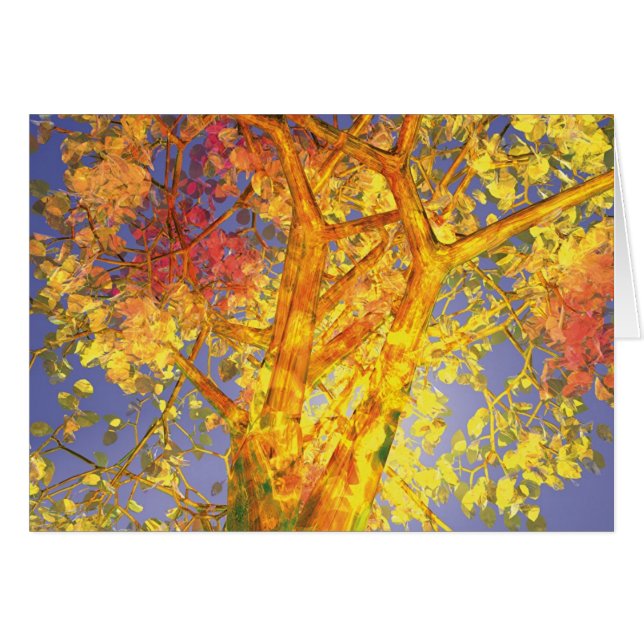 October (Front Horizontal)