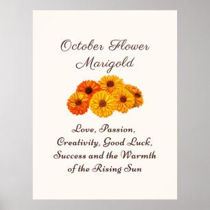 October Birth Month Flower Marigold Elegant  Poster