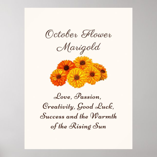 October Birth Month Flower Marigold Elegant  Poster (Front)