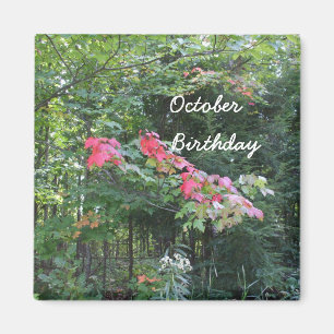 October Birthday for all-autumn leaves Magnet