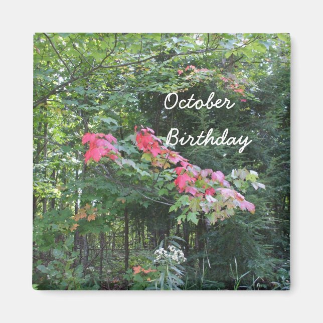 October Birthday for all-autumn leaves Magnet (Front)