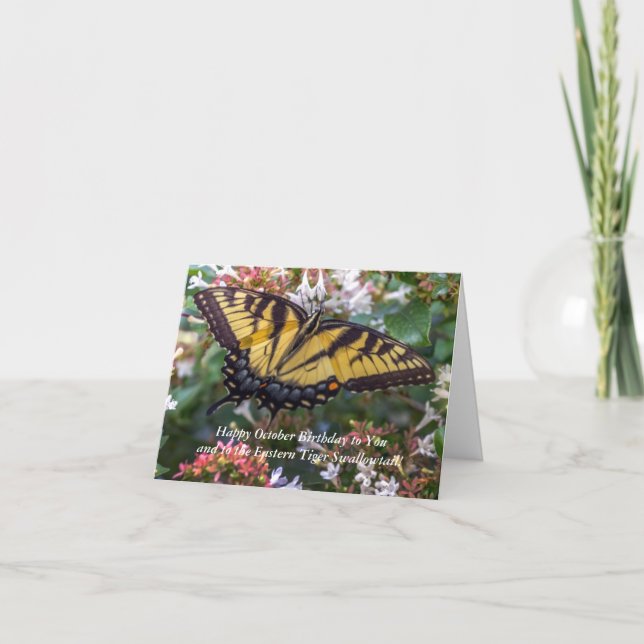 October Eastern Tiger Swallowtail Birthday Card (Front)