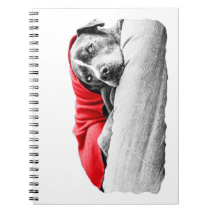 October Ember Muse Notebook
