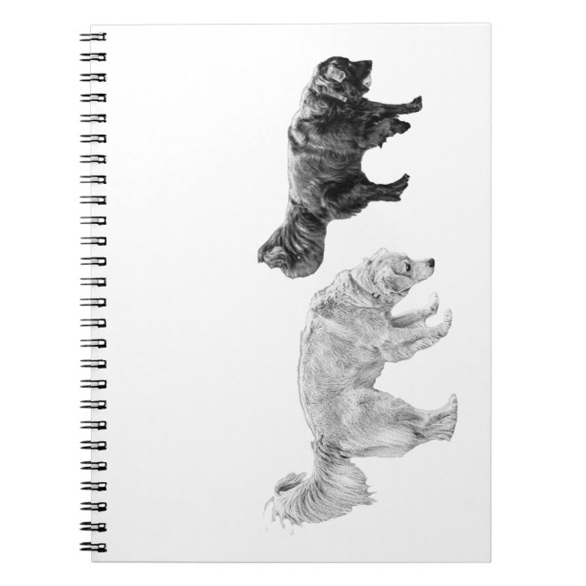 October Field Log, Two Noses Notebook (Front)