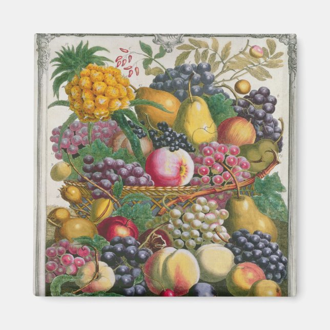 October, from 'Twelve Months of Fruits' Magnet (Front)