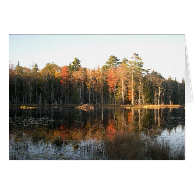 October in New Hampshire (Front Horizontal)