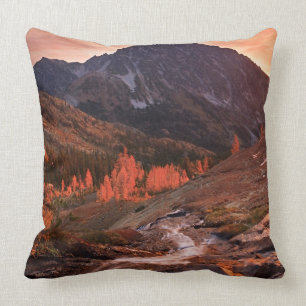 October Light on Headlight Basin Cushion