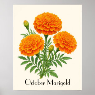October Marigold Flowers Poster