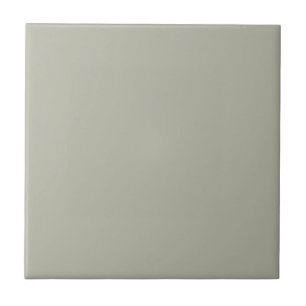 October Mist Solid Colour Ceramic Tile