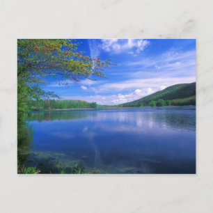 October Mountain State Forest Berkshires Postcard