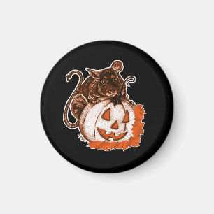 October Orange Rat on Pumpkin Halloween Magnet
