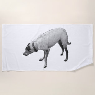 October Pathways Beach Towel