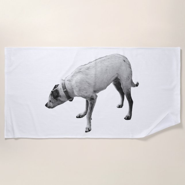 October Pathways Beach Towel (Front)