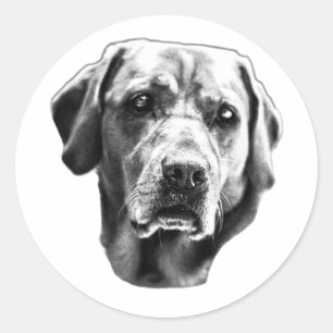 October Portrait Classic Round Sticker