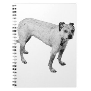 October’s Watch Notebook