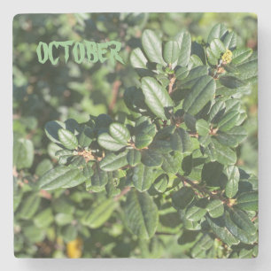 OCTOBER STONE COASTER