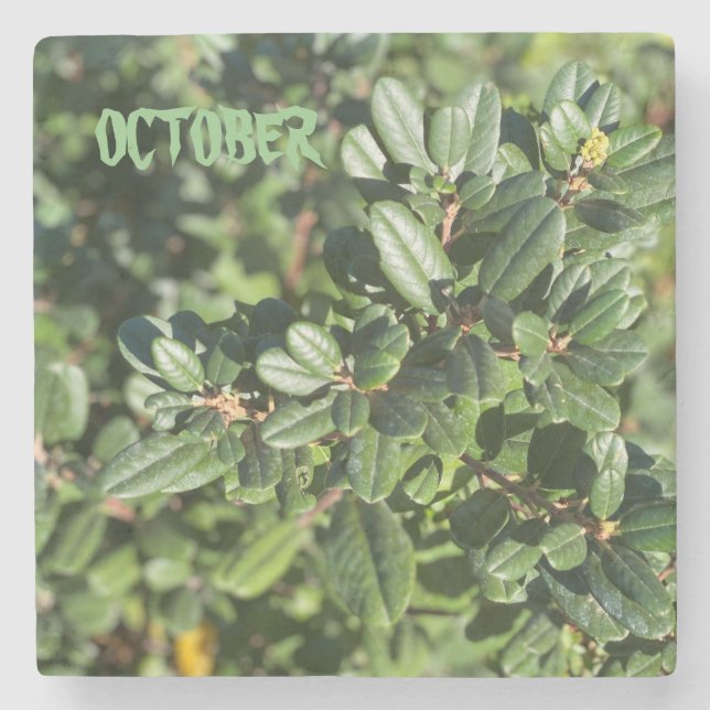 OCTOBER STONE COASTER (Front)