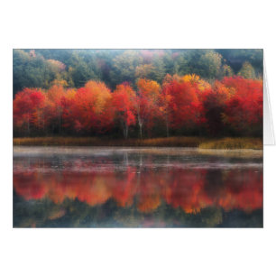 October Trees