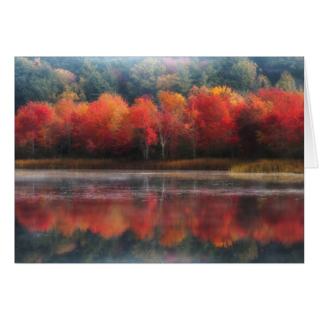 October Trees (Front Horizontal)