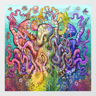 Octopi