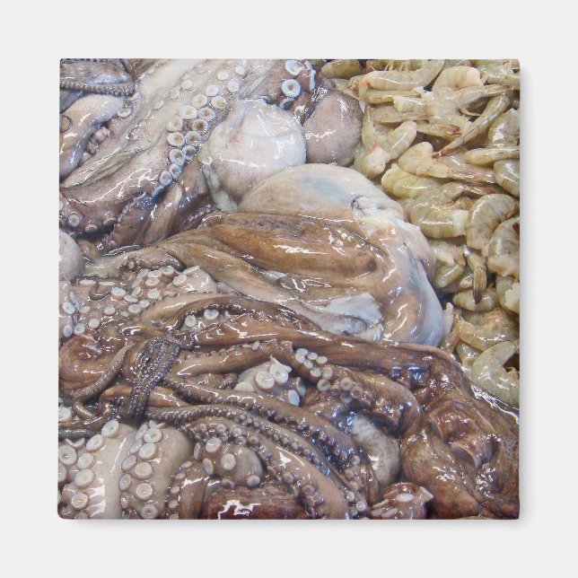 Octopi Magnet (Front)