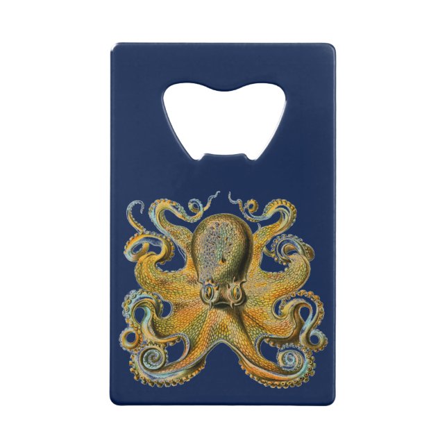 Octopus (Back)