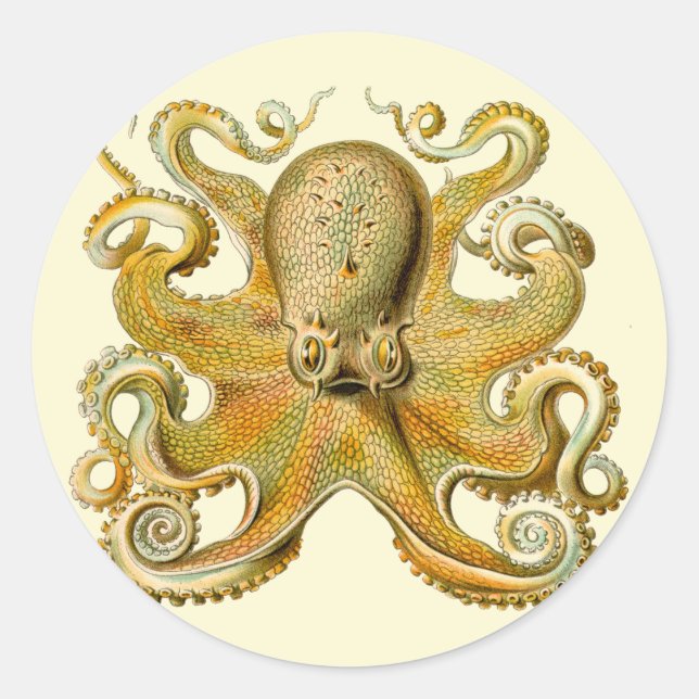 Octopus antique illustration sea monster classic round sticker (Front)