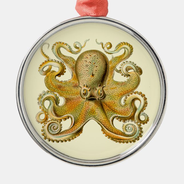 Octopus antique illustration sea monster metal ornament (Front)