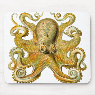 Octopus antique illustration sea monster mouse pad