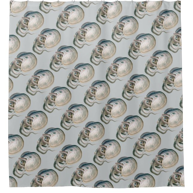 Octopus Argonaut, Vintage Marine Life Animals Shower Curtain (Front)
