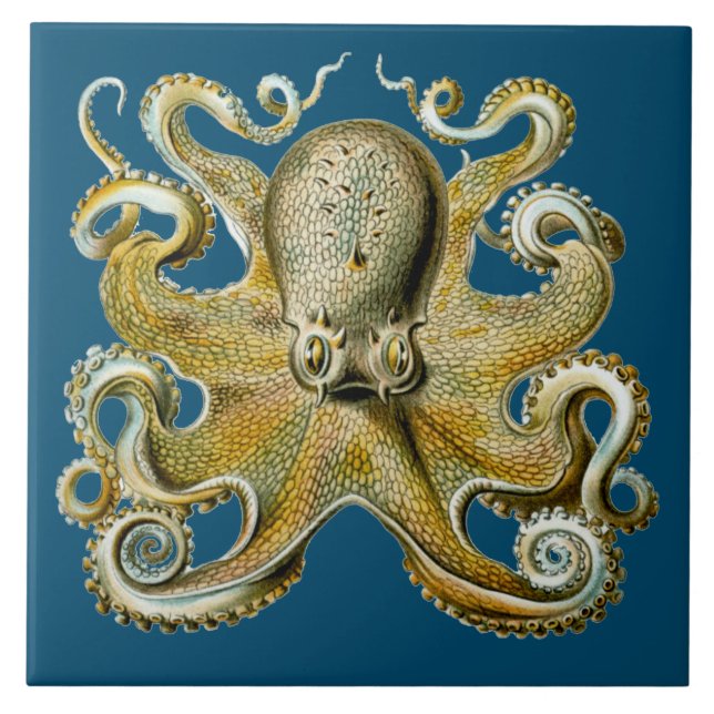 Octopus Ceramic Tile (Front)