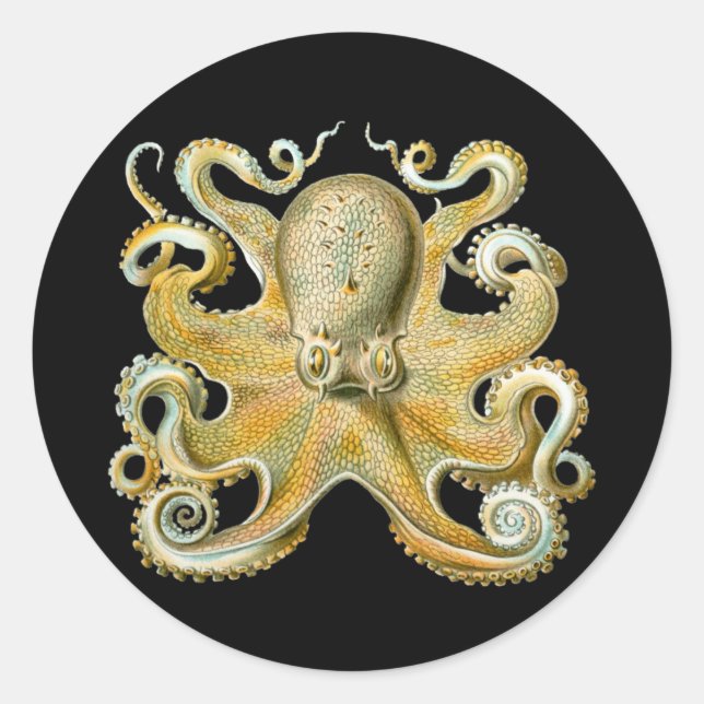 Octopus Classic Round Sticker (Front)