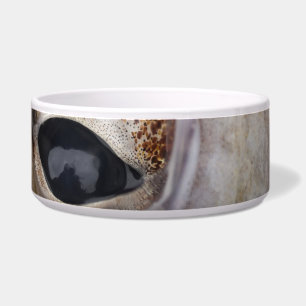 Octopus Eye
