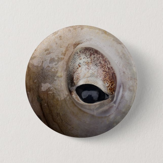 Octopus Eye 6 Cm Round Badge (Front)
