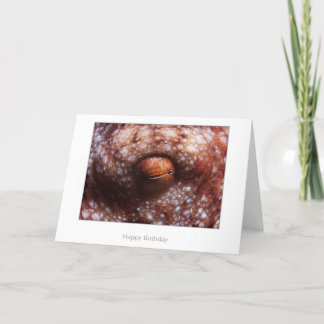 Octopus Eye Birthday Card