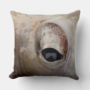 Octopus Eye Cushion