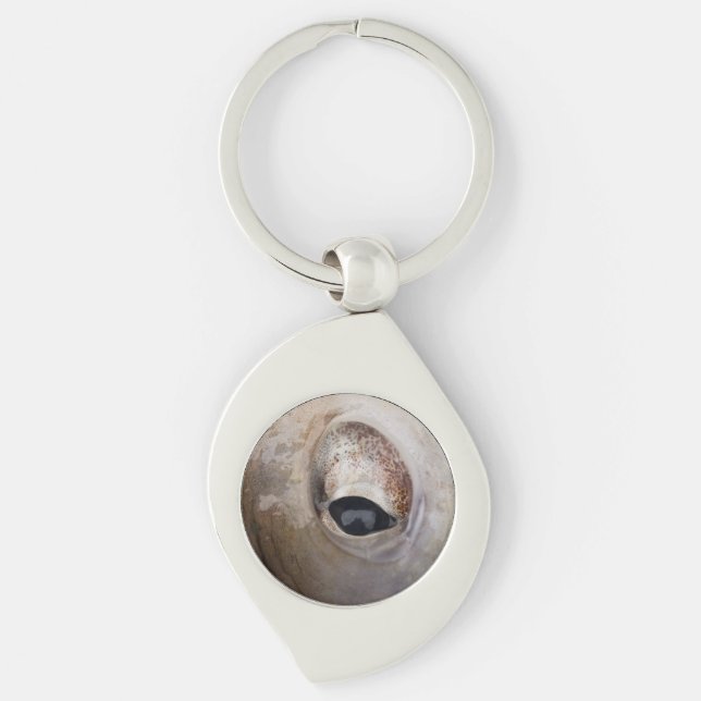 Octopus Eye Key Ring (Front)